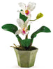 4067-AS-S3 Cattleya Orchid Set of 3 Silk Plants by Nearly Natural | 14.5 inches