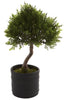 4965-S2 Cedar Set of 2 Silk Bonsai Trees by Nearly Natural | 11.5 inches