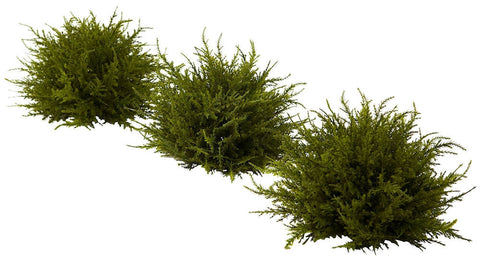 4949-S3 Cedar Set of 3 Artificial Silk Plants by Nearly Natural | 7.5 inches