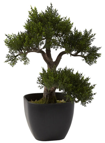 4966 Cedar Silk Bonsai Tree w/Black Planter by Nearly Natural | 15 inches