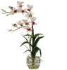 1135-WH White Silk Dendrobium in Water in 4 colors by Nearly Natural | 22 inches