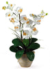 1026-CR Cream Double Phalaenopsis Silk Orchid in 8 colors by Nearly Natural | 25"