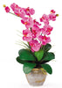 1026-DP Dark Pink Double Phalaenopsis Silk Orchid in 8 colors by Nearly Natural | 25"