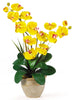 1026-GD Yellow Double Phalaenopsis Silk Orchid in 8 colors by Nearly Natural | 25"