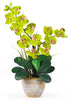 1026-GR Green Double Phalaenopsis Silk Orchid in 8 colors by Nearly Natural | 25"