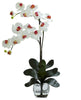 1323-WH White Double Phalaenopsis Orchid in Water 8 colors by Nearly Natural | 27"
