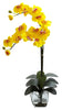 1323-YL Yellow Double Phalaenopsis Orchid in Water 8 colors by Nearly Natural | 27"