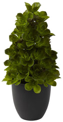 4964 Echeveria Silk Cone Topiary with Planter by Nearly Natural | 15 inches