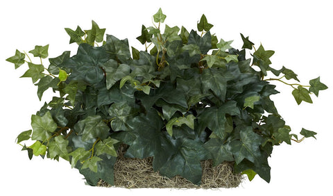 6707 English Ivy Silk Plant Set on Foam by Nearly Natural | 14 inches