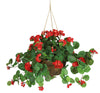 6609-RD Red Silk Geranium Hanging Basket in 2 colors by Nearly Natural | 32 inches