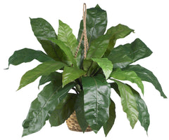 6775 Large Bird's Nest Fern Hanging Basket by Nearly Natural | 34 inches