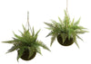 6743-S2 Silk Leather Fern Set/2 Indoor Outdoor by Nearly Natural | 18 inches