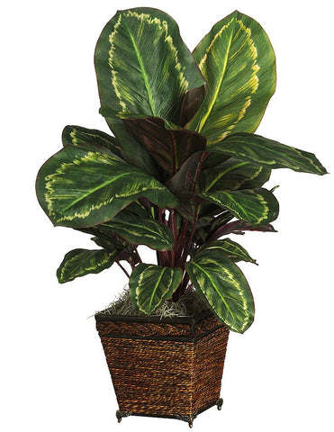6590-0506 Maranta Artificial Plant with Planter by Nearly Natural | 26 inches