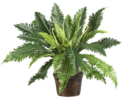 6534 Marginatum Fern Silk Plant with Planter by Nearly Natural | 22 inches
