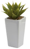 4972-S3 Mini Agave Set/3 Silk Plants w/Planters by Nearly Natural | 9 inches