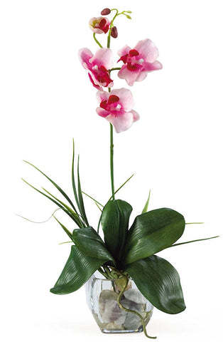 1051-PK Pink Mini Silk Phalaenopsis in Water in 2 colors by Nearly Natural | 20"