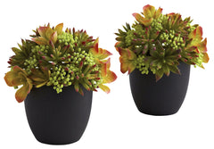 4963-S2 Mixed Silk Succulents S/2 Black Planters by Nearly Natural | 8 inches