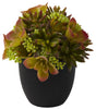 4963-S2 Mixed Silk Succulents S/2 Black Planters by Nearly Natural | 8 inches