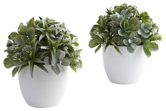4962-S2 Mixed Silk Succulents S/2 White Planters by Nearly Natural | 8 inches