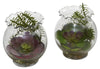 6781-S2 Mixed Silk Succulents Set of 2 Terrariums by Nearly Natural | 6 inches