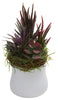 4982-S2 Mixed Succulents Set of 2 Silk Plants by Nearly Natural | 9 inches