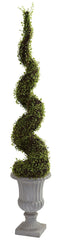 5425 Muehlenbeckia Silk Spiral Topiary Tree Urn by Nearly Natural | 5 feet