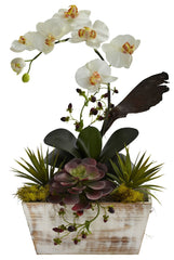 1326 Phalaenopsis & Succulent Silk Arrangement by Nearly Natural | 21"