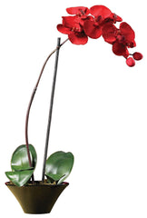 4859 Phalaenopsis Orchid Silk Holiday Flower by Nearly Natural | 20 inches