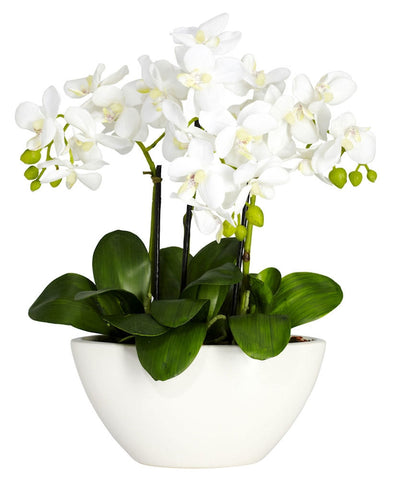 4804 Mini Phalaenopsis Orchid Silk Plant w/Planter by Nearly Natural | 16"