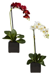 4757-S2 Phalaenopsis Silk Orchid Set/2 Plants by Nearly Natural | 20 inches