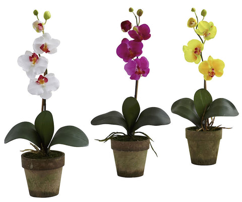 4065-AS-S3 Phalaenopsis Silk Orchid Set/3 Plants by Nearly Natural | 19 inches