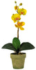 4065-AS-S3 Phalaenopsis Silk Orchid Set/3 Plants by Nearly Natural | 19 inches