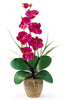 1016-BU Beauty Phalaenopsis Silk Orchid in 8 colors by Nearly Natural | 21 inches