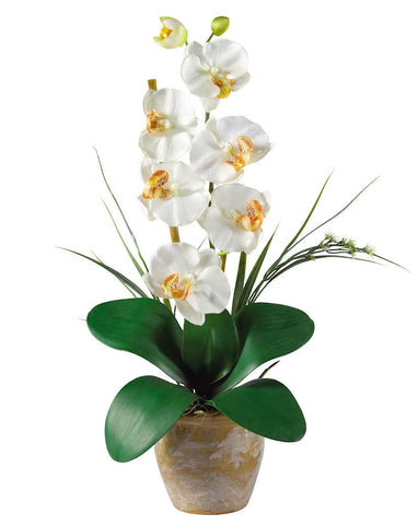 1016-CR Cream Phalaenopsis Silk Orchid in 8 colors by Nearly Natural | 21 inches