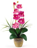 1016-DP Dark Pink Phalaenopsis Silk Orchid in 8 colors by Nearly Natural | 21 inches