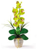 1016-GR Green Phalaenopsis Silk Orchid in 8 colors by Nearly Natural | 21 inches