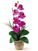 1016-OR Orchid Phalaenopsis Silk Orchid in 8 colors by Nearly Natural | 21 inches