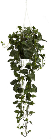 4762 Philodendron Silk Hanging Basket by Nearly Natural | 44 inches