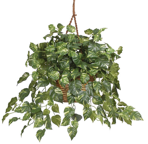 6517 Pothos Silk Plant w/Hanging Basket by Nearly Natural | 36 inches