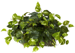 6708 Pothos Artificial Silk Plant Set on Foam by Nearly Natural | 15 inches