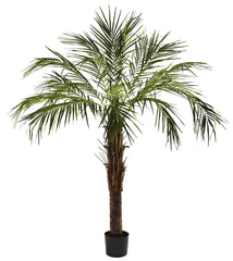 5366 Robellini Palm Artificial Tree w/Planter by Nearly Natural | 72 inches
