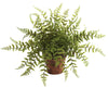 4826-S2 Set of 2 Silk Fern Plants with Planters by Nearly Natural | 12 inches