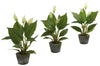 4974-S3 Spathiphyllum Set of 3 Silk Plants by Nearly Natural | 11 inches