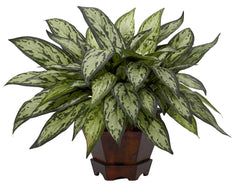 6696 Chinese Evergreen Silver Queen Silk Plant by Nearly Natural | 14"