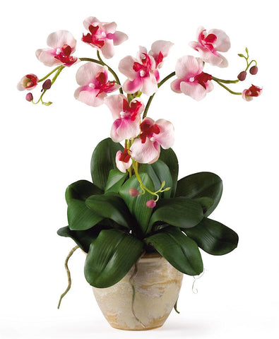 1038-PK Pink Triple Mini Phalaenopsis Silk Orchid 2 colors by Nearly Natural | 20"