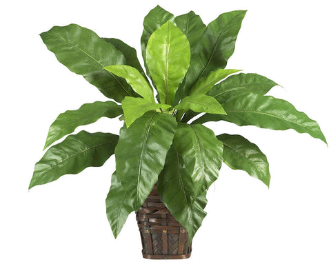 6530 Bird's Nest Fern Silk Plant w/Basket by Nearly Natural | 22 inches