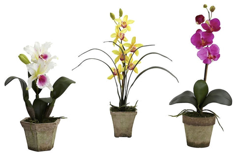 4985-A1-S3 Cattleya Cymbidium Phalaenopsis Orchids A1 S/3 by Nearly Natural | 19"