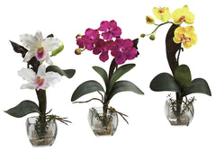 1339-A3-S3 Silk Orchids A3 Set of 3 in Water by Nearly Natural | up to 16 inches